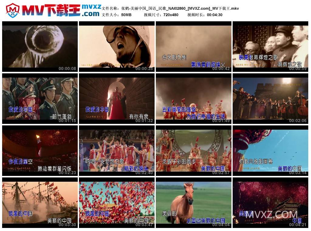 张鹤-美丽中国_国语_民歌_NAI02860